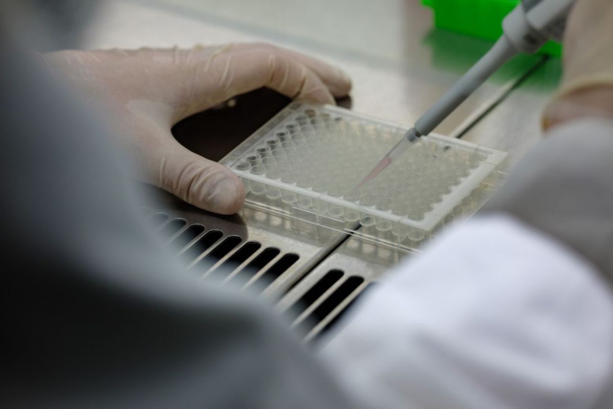 Innovate Hessen – Green Elephant Story – 96-Well-Plate